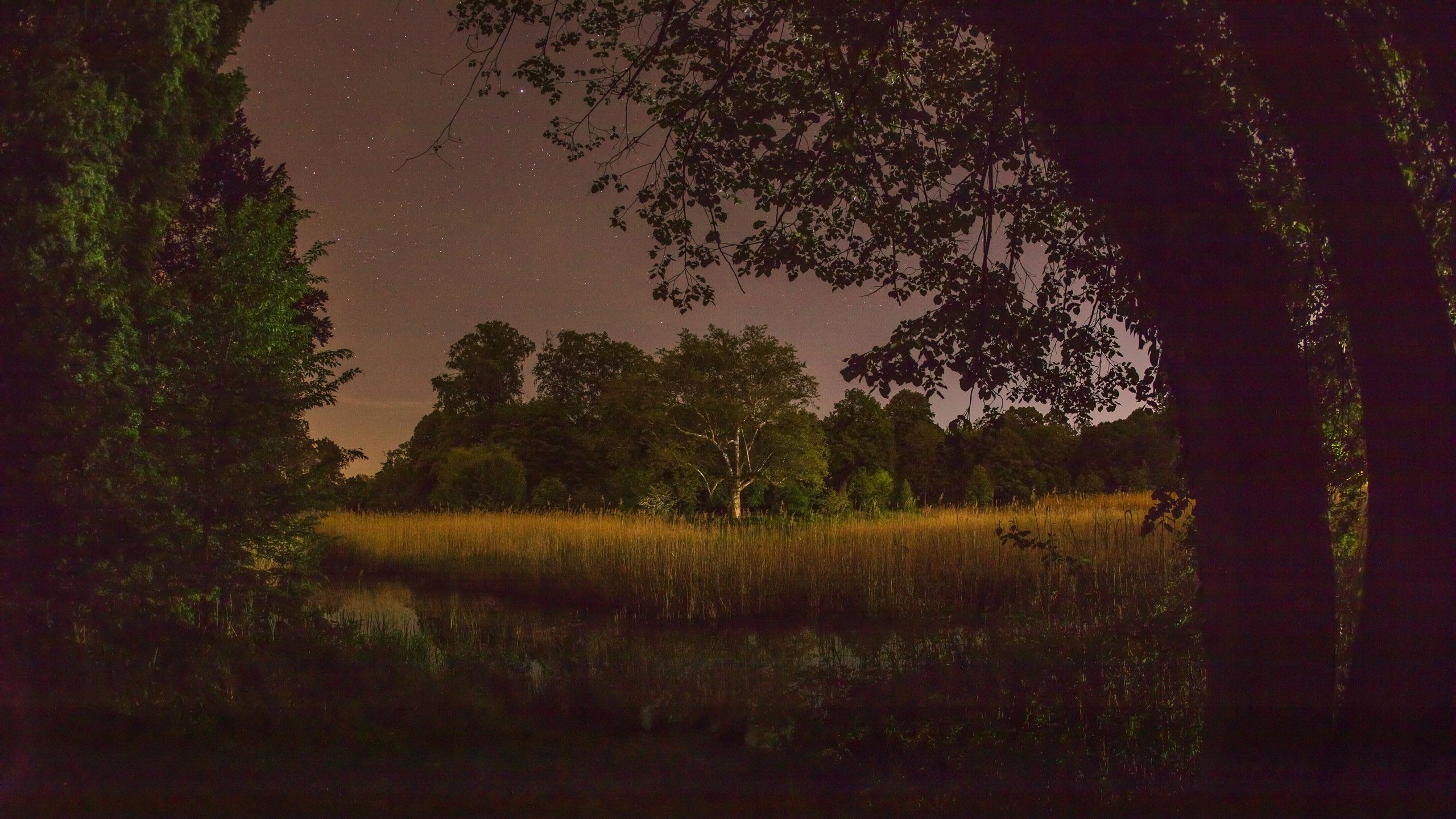 20220508001541 DP017502